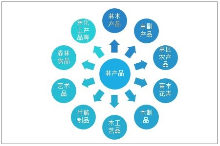 2021-2027年中國(guó)林產(chǎn)品行業(yè)市場(chǎng)研究分析及投資戰(zhàn)略規(guī)劃報(bào)告